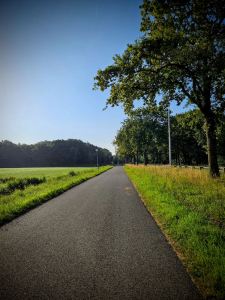 Papeweg cycle path and local access road