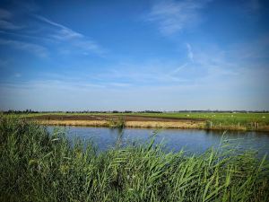 Riding along Meerpolder