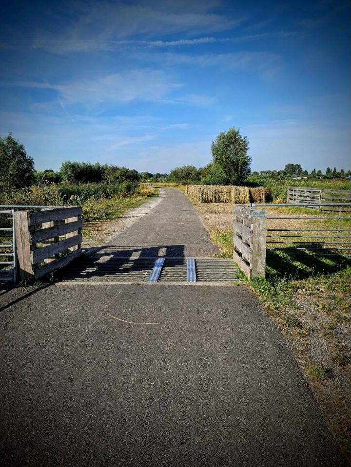Cattle grid with metal cycling strips