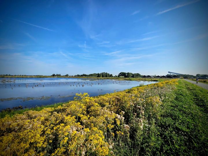 View from Hoogeveenseweg