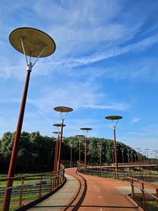 Burgemeester Waaijerbrug