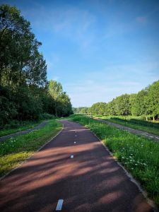 Path at the bottom of Burgemeester Waaijerbrug