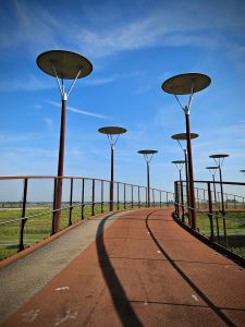 Burgemeester Waaijerbrug