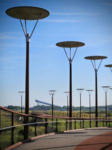 Burgemeester Waaijerbrug