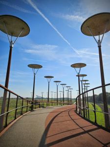 Burgemeester Waaijerbrug