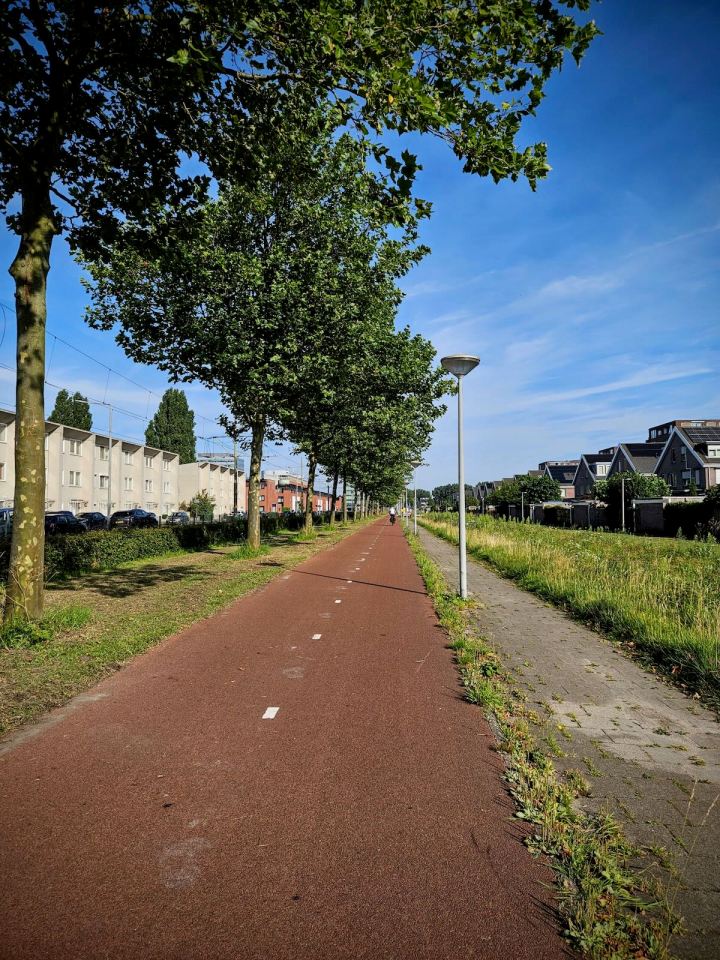 Cycle path on Pijlkruidveld