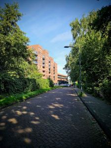 Riding through Burgemeester Den Haan-Groenpark