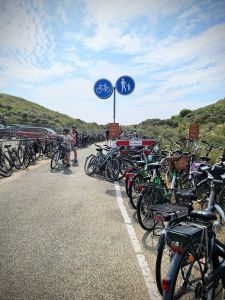 Bikes parked at the beach