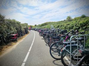 Bikes parked at the beach