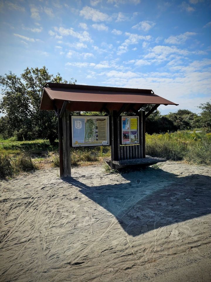 Shelter and information boards