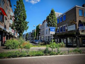 Green filter at the top of Nieuwe Molstraat