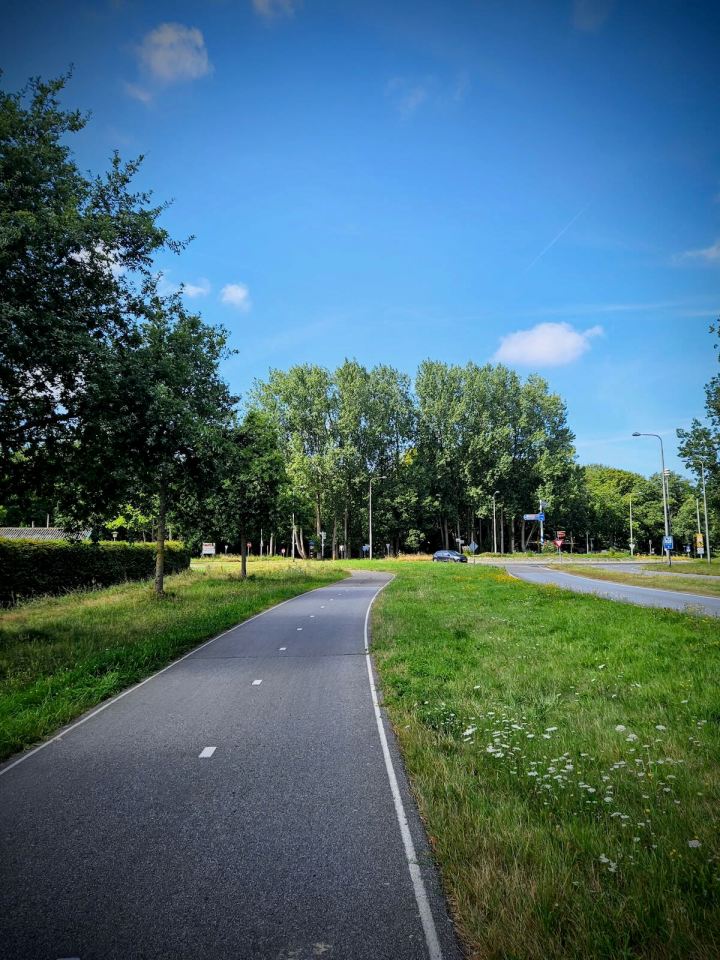 Cycle path on N441 Wassenaarweg