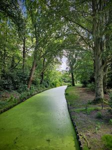 Water feeding the lake at Kasteel de Wittenburg