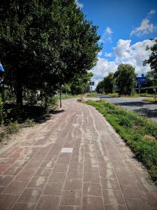 Sandy paved path on Zijdeweg, next to the N14