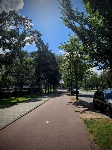 Cycle path on Bezuidenhoutseweg
