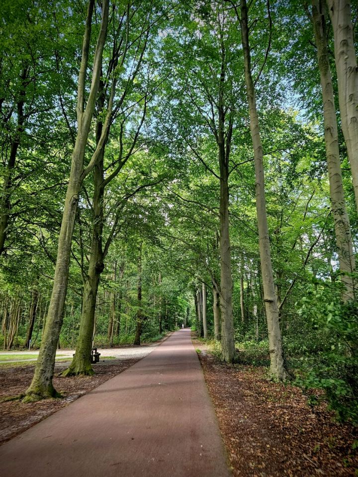 Riding through Haagse Bos