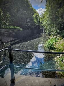 Moat around at Huis ten Bosch