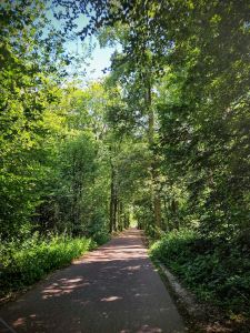 Riding through Haagse Bos