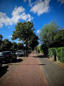 Paved cycle path on Laan van Nieuw Oosteinde