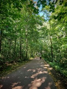 Riding through Haagse Bos