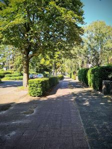 Riding on the paved path on Jagerslaan