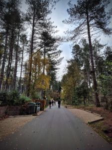 On the path through the site