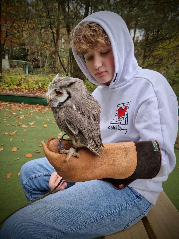 Our youngest on the Encounter with Owls activity