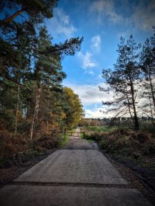 Mountain bike trail in Sherwood Pines