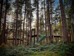 Go Ape Sherwood - Nets Adventure