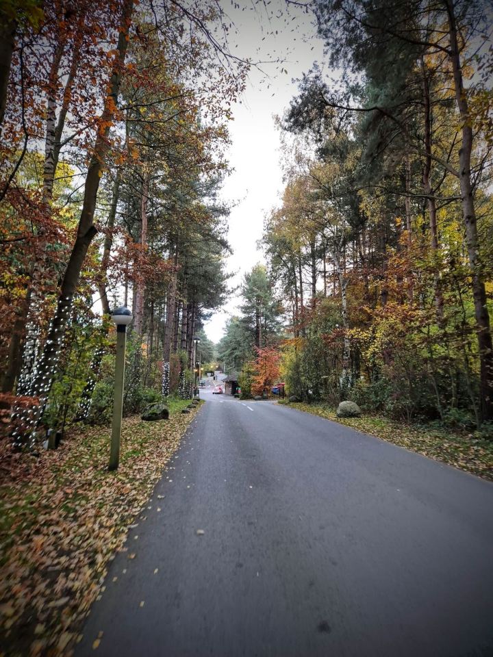 Road leading out of Center Parcs