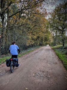 On the road to Sherwood Pines