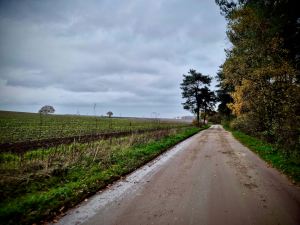 The road back to Center Parcs