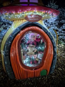 In the Winter Wonderland