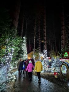 In the Winter Wonderland