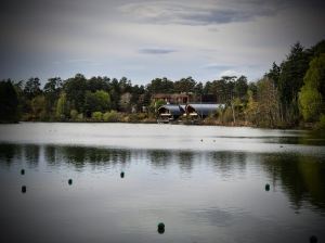 View across the lake