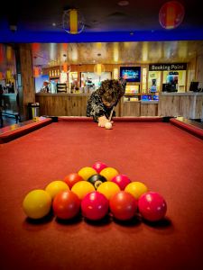 Pool at the Leisure Bowl