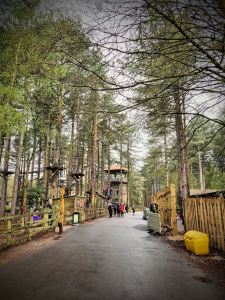 Path through the Aerial Adventure