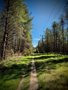 Mountain bike trail in High Lodge