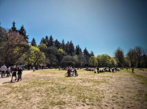 Field near the visitor centre in High Lodge