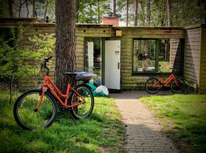 Pinnacle bikes used by the staff servicing the lodges