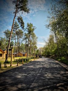 Road through Center Parcs