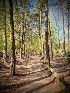 Path through Center Parcs