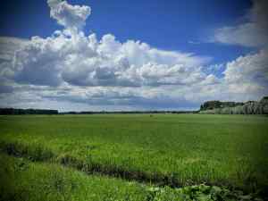 View from Oude Veenpad