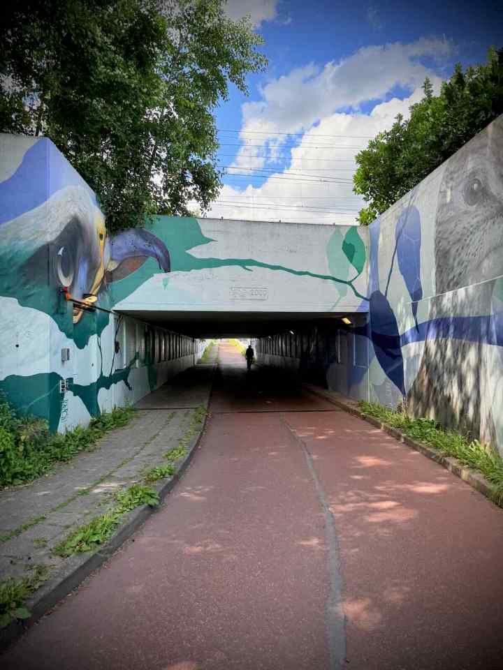 Approaching the underpass under the railway, next to N14 Noordelijke Randweg