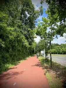 Cycle path next to the N44 Rijksstraatweg