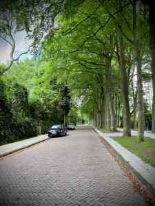 Riding along Bremhorstlaan