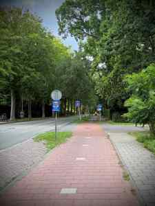 Cycle path on Stoeplaan