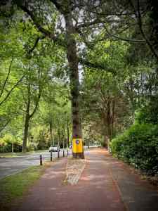 Hi-vis tree on Stoeplaan