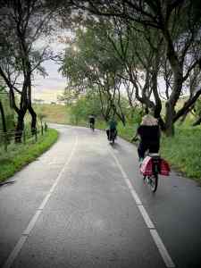Riding on the dune path