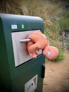 Doll on the bin 🤷